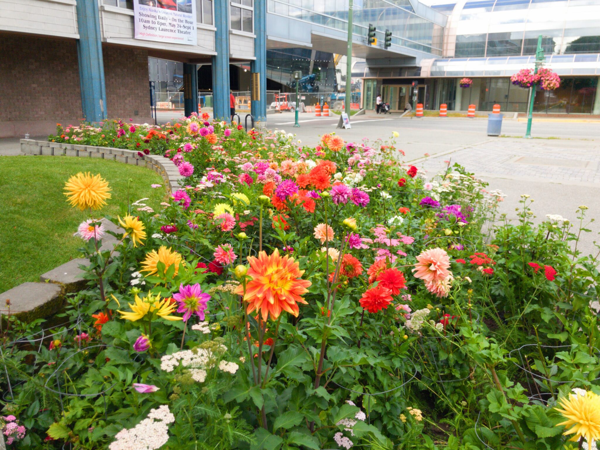 25+ Interesting Things to Do in Anchorage Alaska Ordinary Adventures