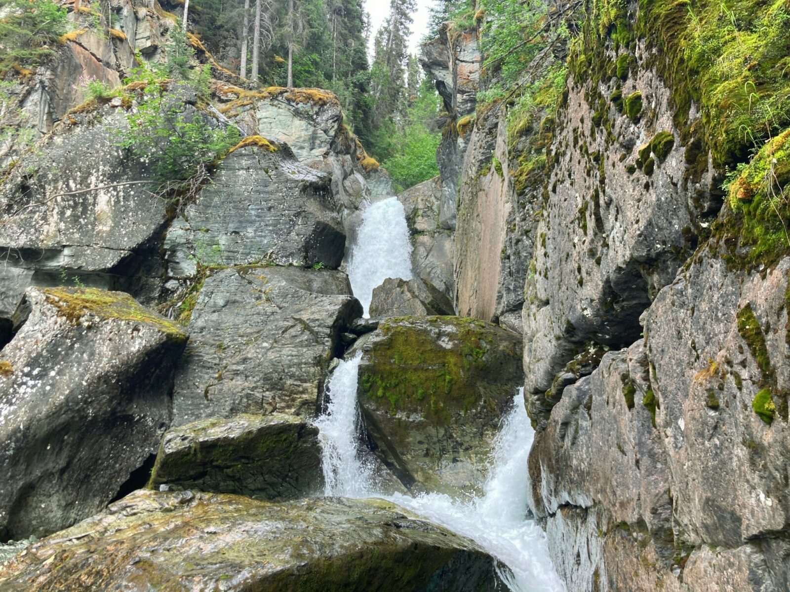 A waterfall falling between boulders and mossy rock cliffs surrounded by forest