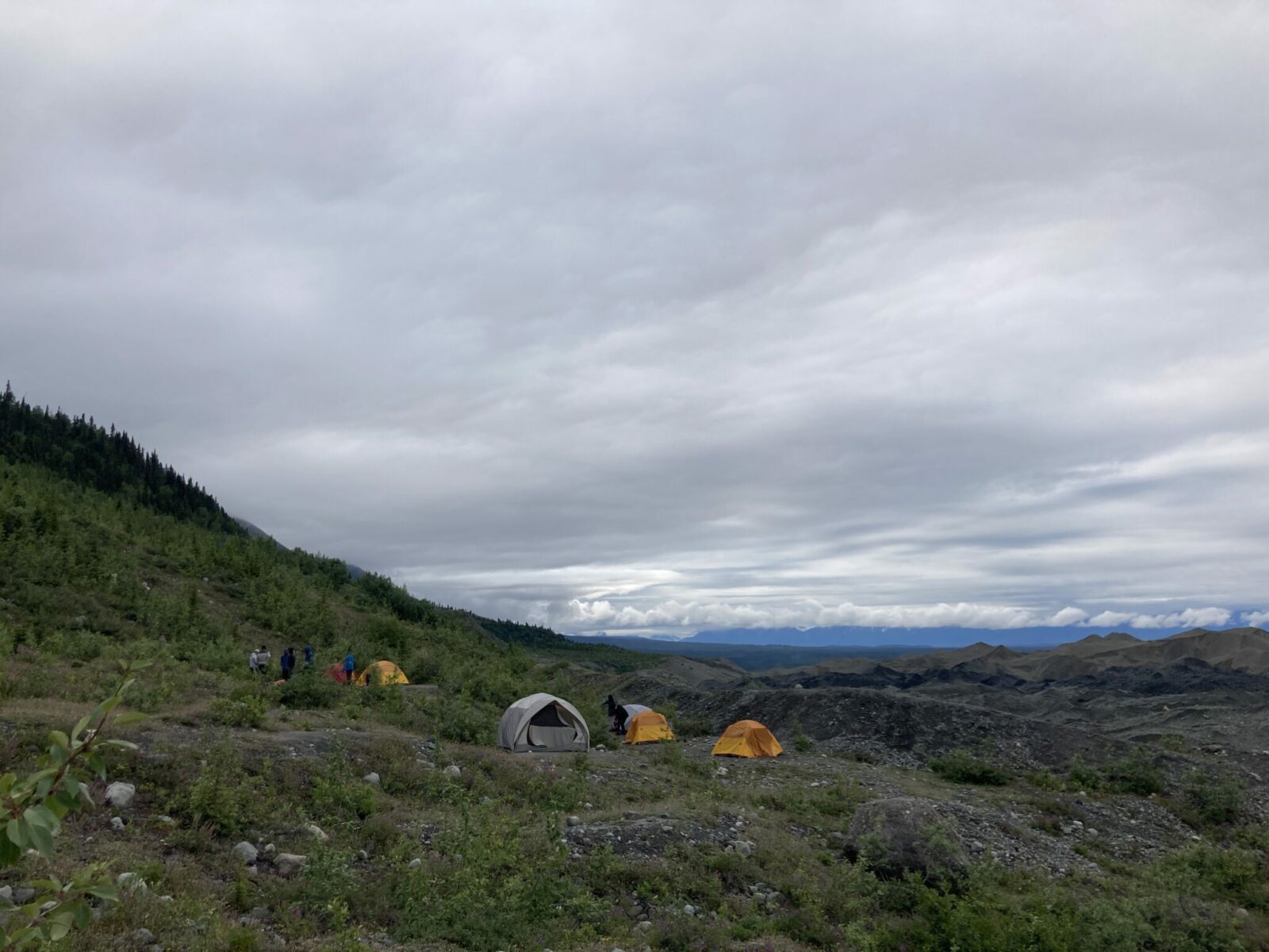 three yellow tents and one beige tent on an open area near the root glacier