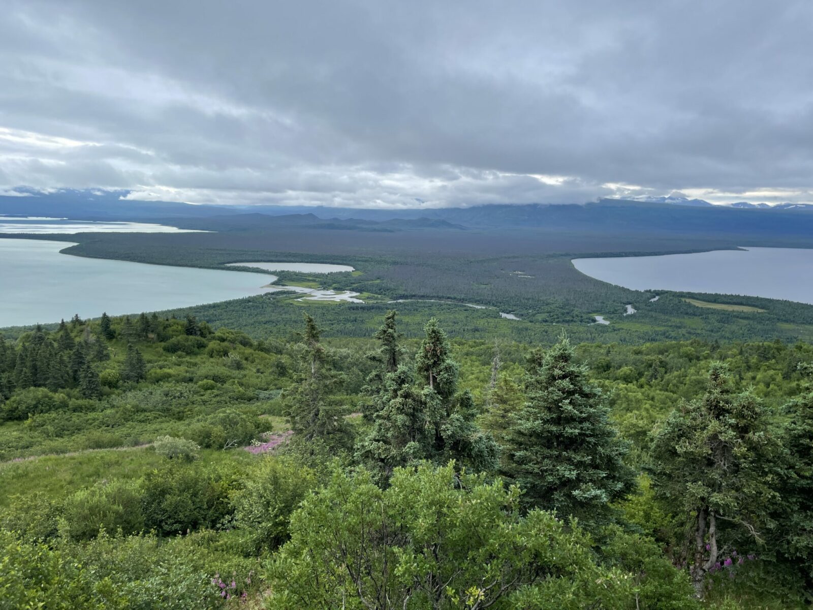 The view from a lookout on a mountain. There are green shrubs and a few trees in the foreground. In the distance is more forest and a short river between two lakes. It's an overcast day.