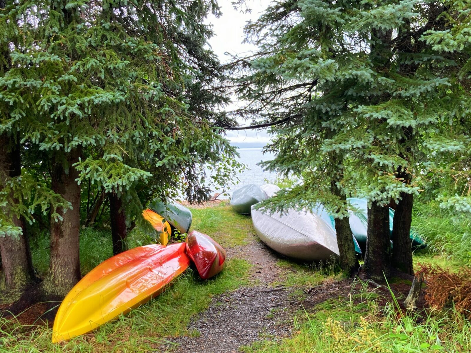 Four red and orange kayaks and a couple of gray canoes next to a narrow gravel path beneath trees at the edge of a lake.