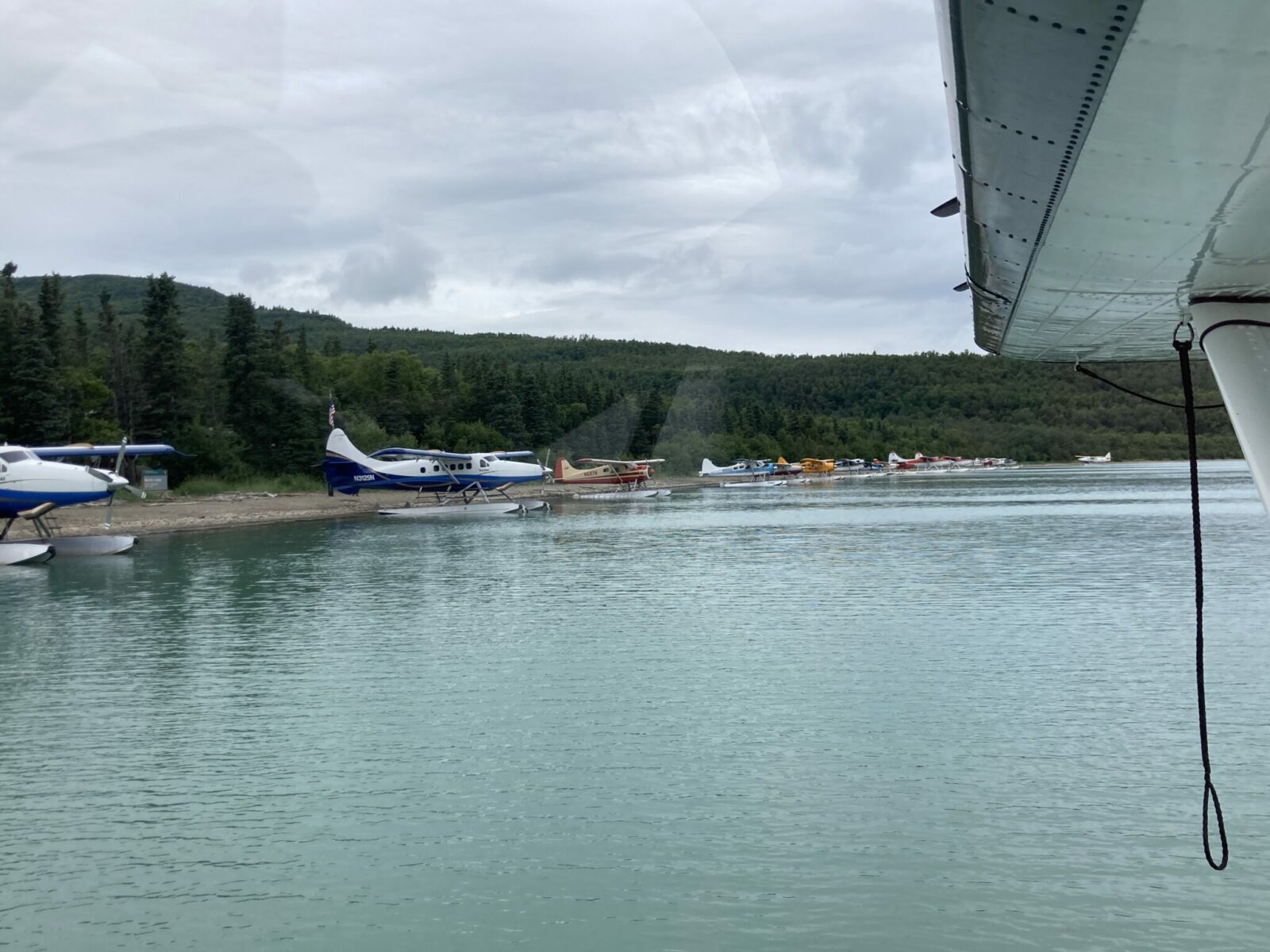 The wing of a floatplane with many other floatplanes parked along the shore of a lake with forest in the background on an overcast day