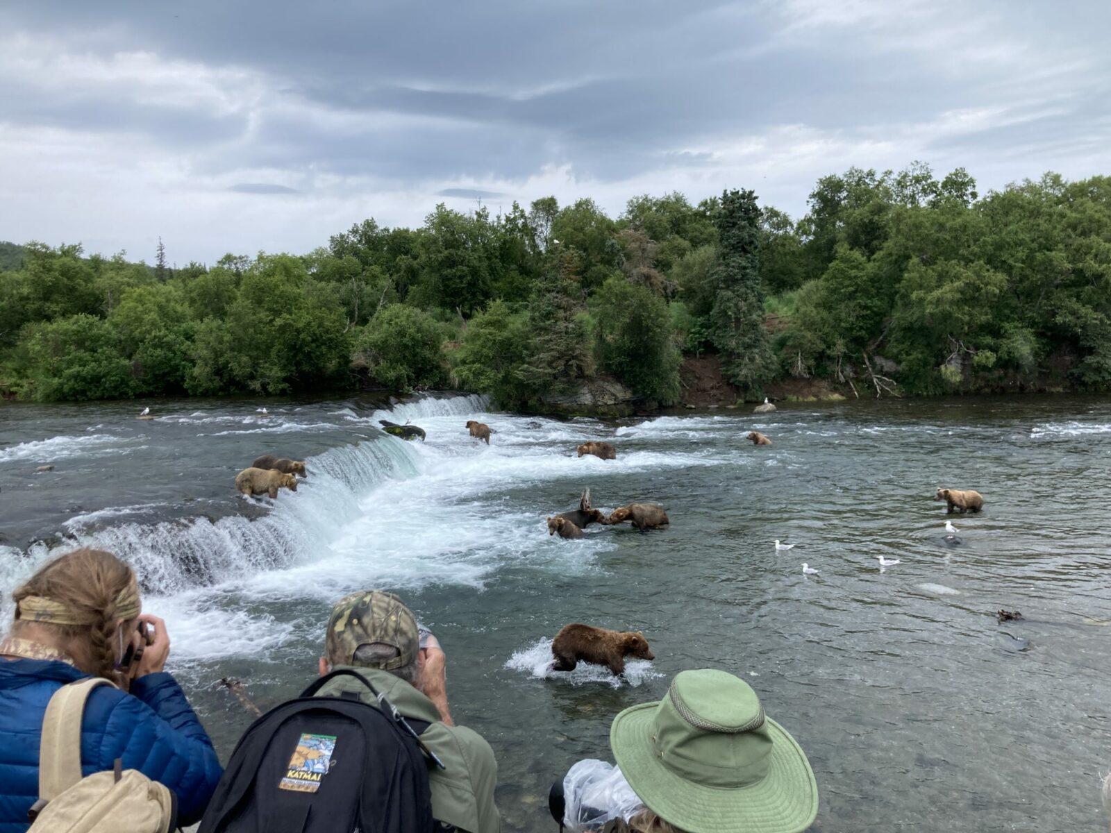 Three people with outdoor gear and backpacks taking photos of many bears in the background at Brooks Falls in Katmai National Park. There are bears above and below the falls and a forest on the other side of the river on an overcast day.