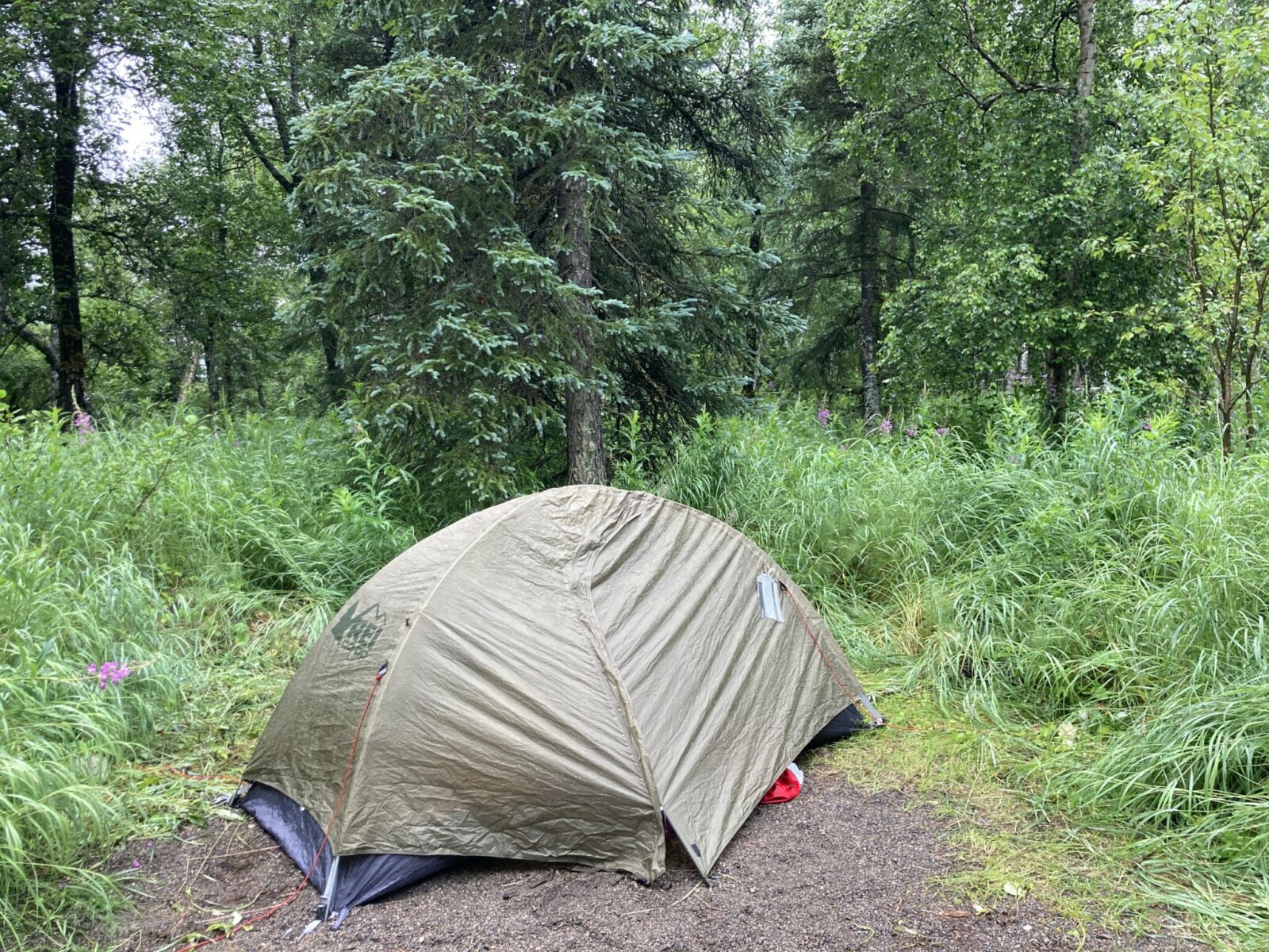 A brown tent in a small gravel clearing in the forest.