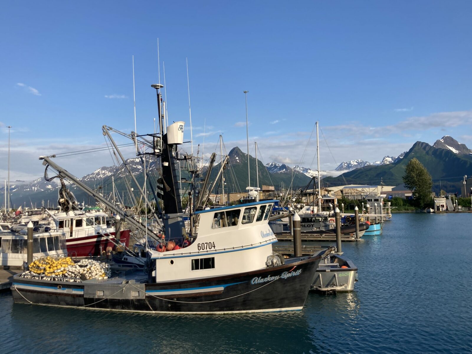 Fishing boats in the harbor in Valdez Alaska. It's a sunny day and there are snow covered mountains in the background