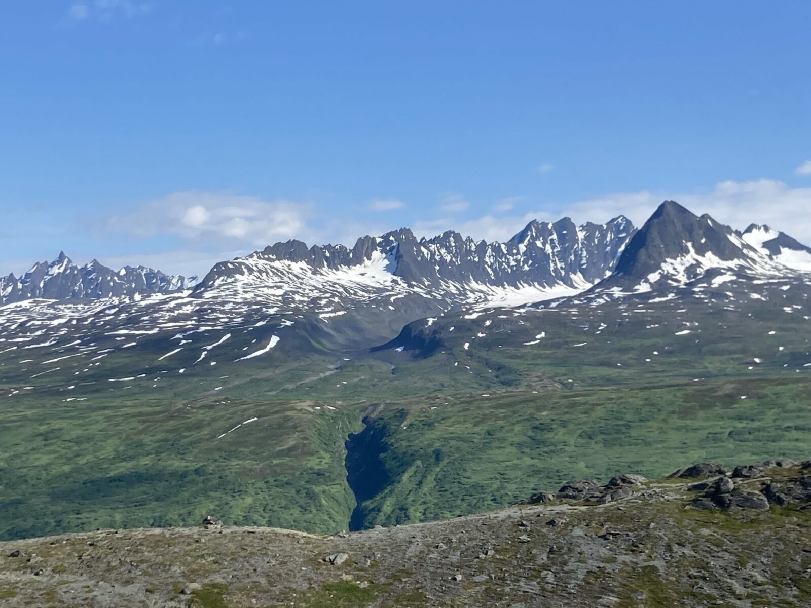 Jagged snow capped mountains with green shrub meadows in the foreground on a partly cloudy day