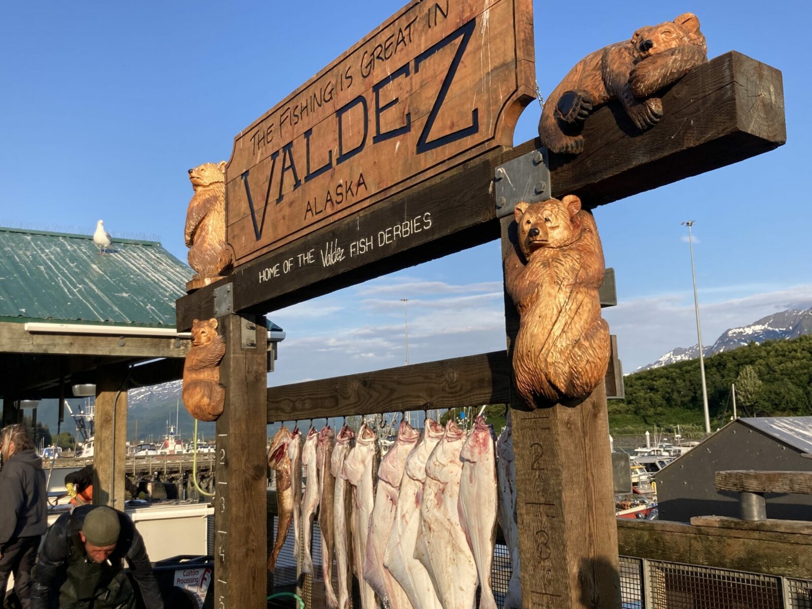 10 large halibut and a few other fishing hanging from a wooden sign with hooks. The sign has wooden bears carved into it and it reads The fishing is great in Valdez Alaska