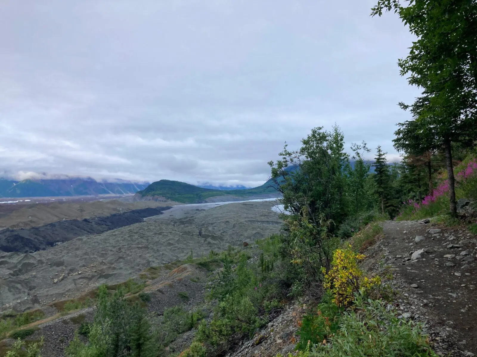 A trail with some rocks to the right of the image with a few wildflowers and trees. Straight ahead is the blue ice of the toe of the Root Glacier. To the left is the gravel covered expanse of the Kennicott Glacier.