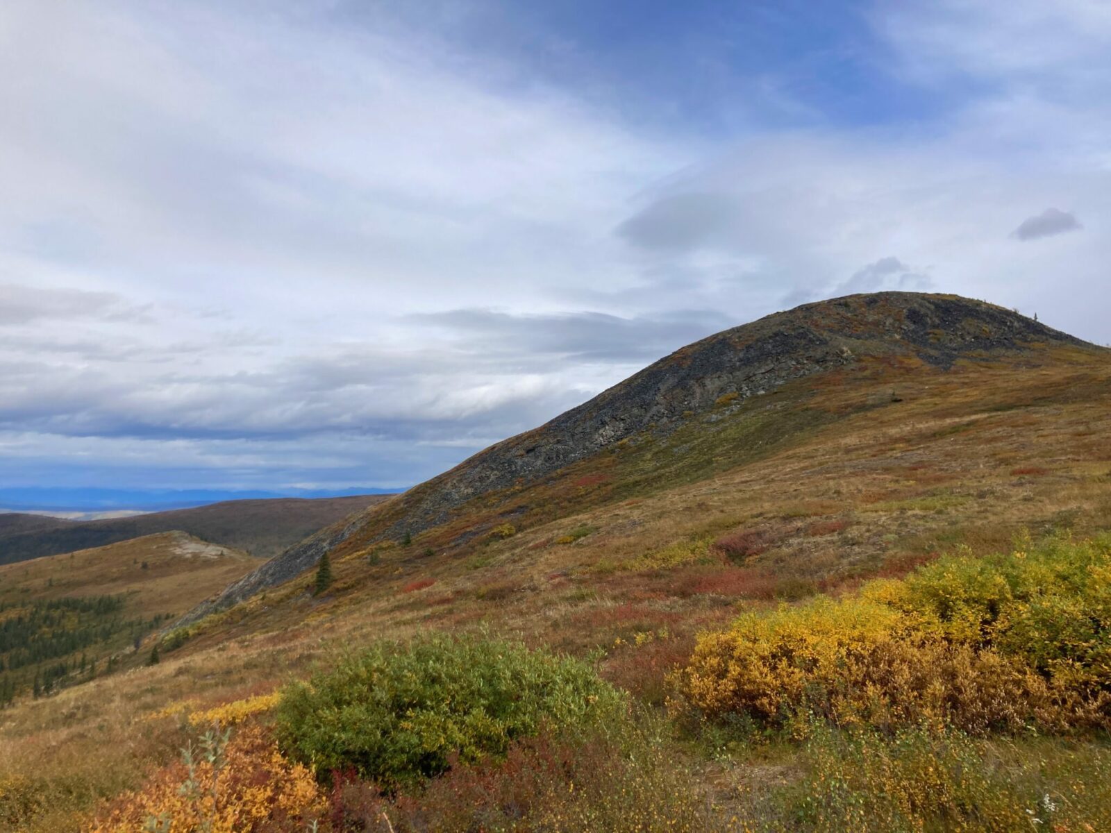 golden and red bushes on hillsides on a high mountain pass