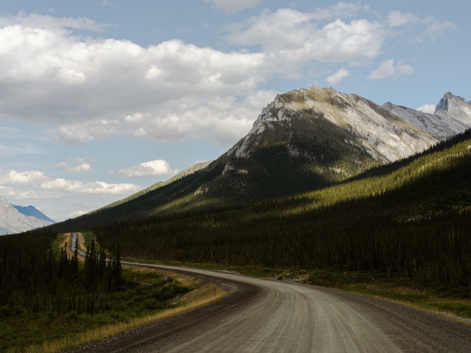 A gravel highway in Alaska going through high mountains and a forest of short trees on a partly cloudy day.