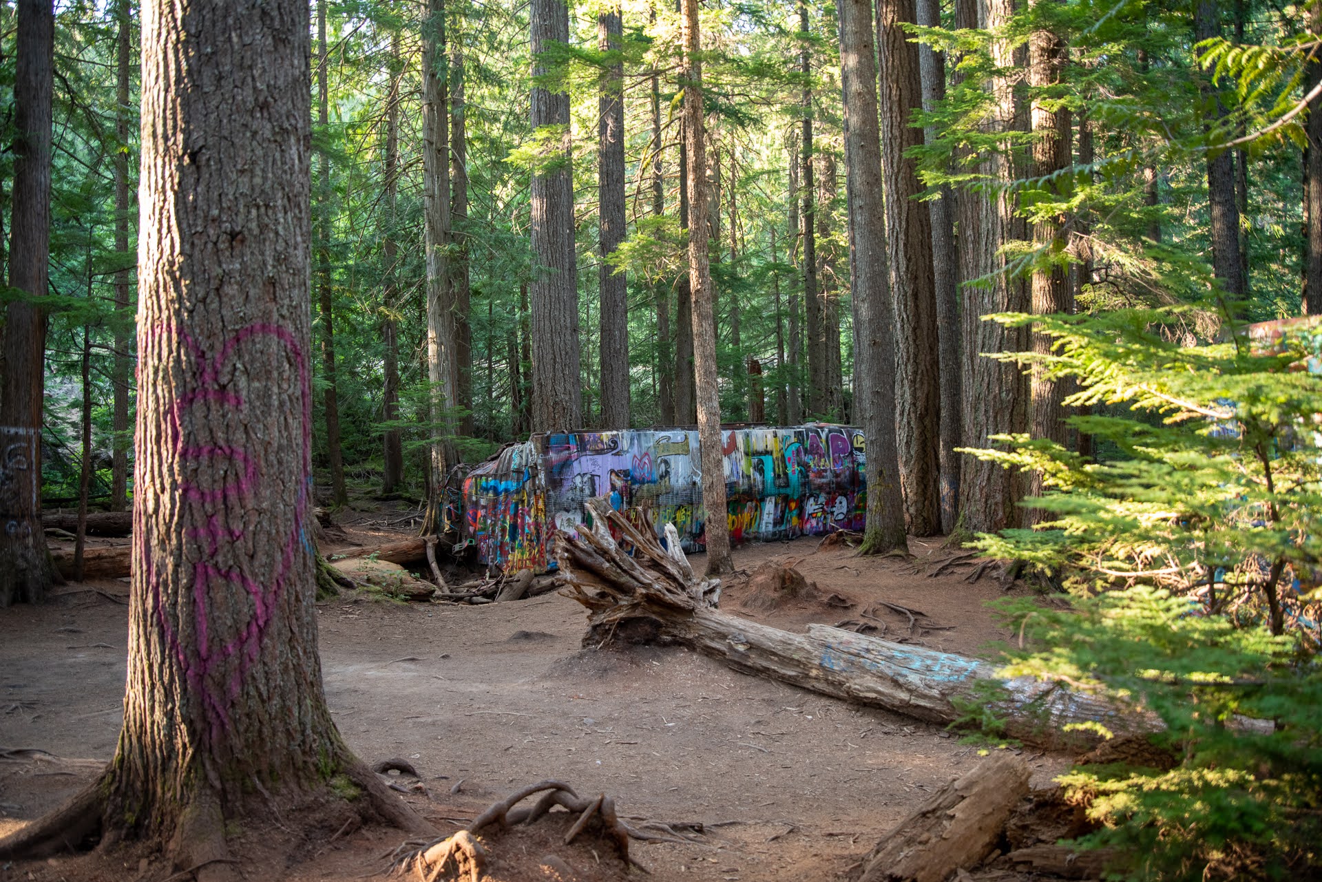 How to get to the Whistler Train Wreck Ordinary Adventures