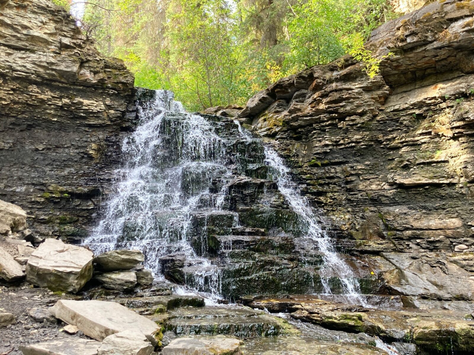 A waterfall coming down rocks that look like steps on a creek in a forest that is just starting to change towards fall color.