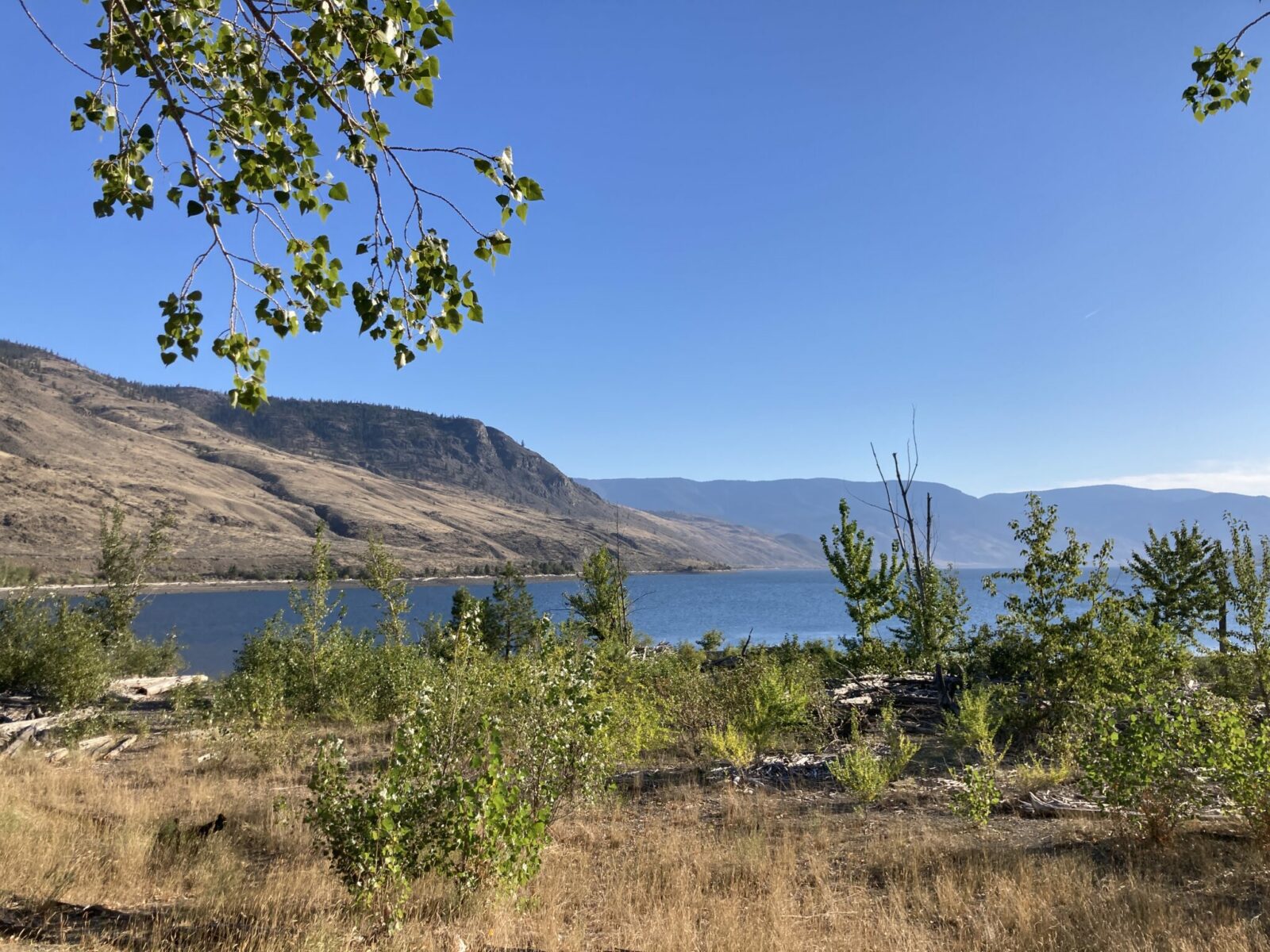 A large blue lake surrounded by brown hills on a sunny day and a few green bushes and plants