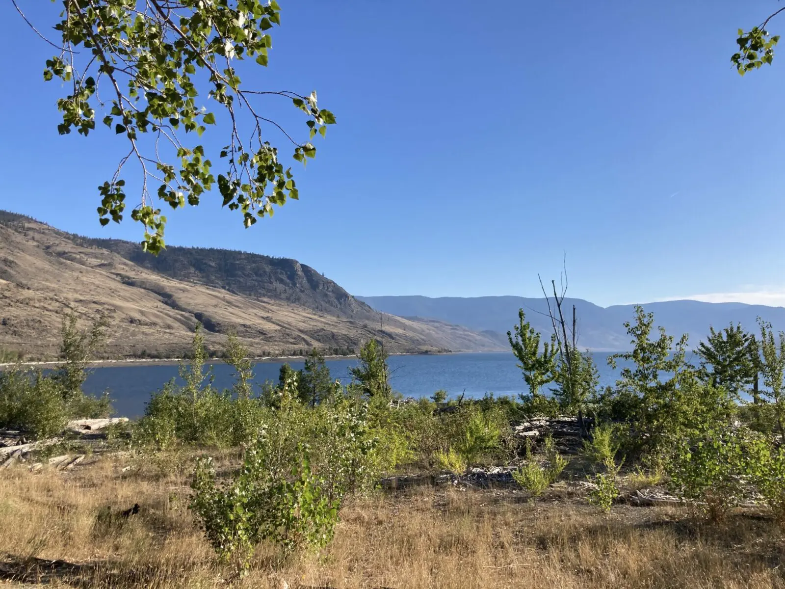 A large blue lake surrounded by brown hills on a sunny day and a few green bushes and plants