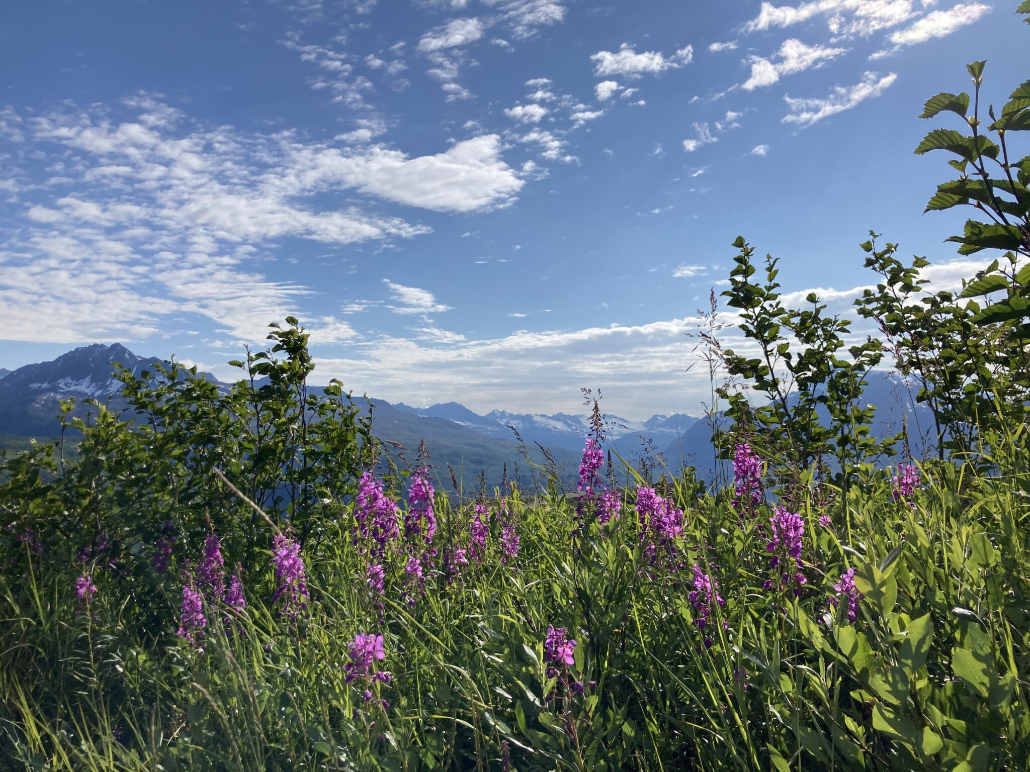 what-is-the-best-month-to-visit-alaska-ordinary-adventures