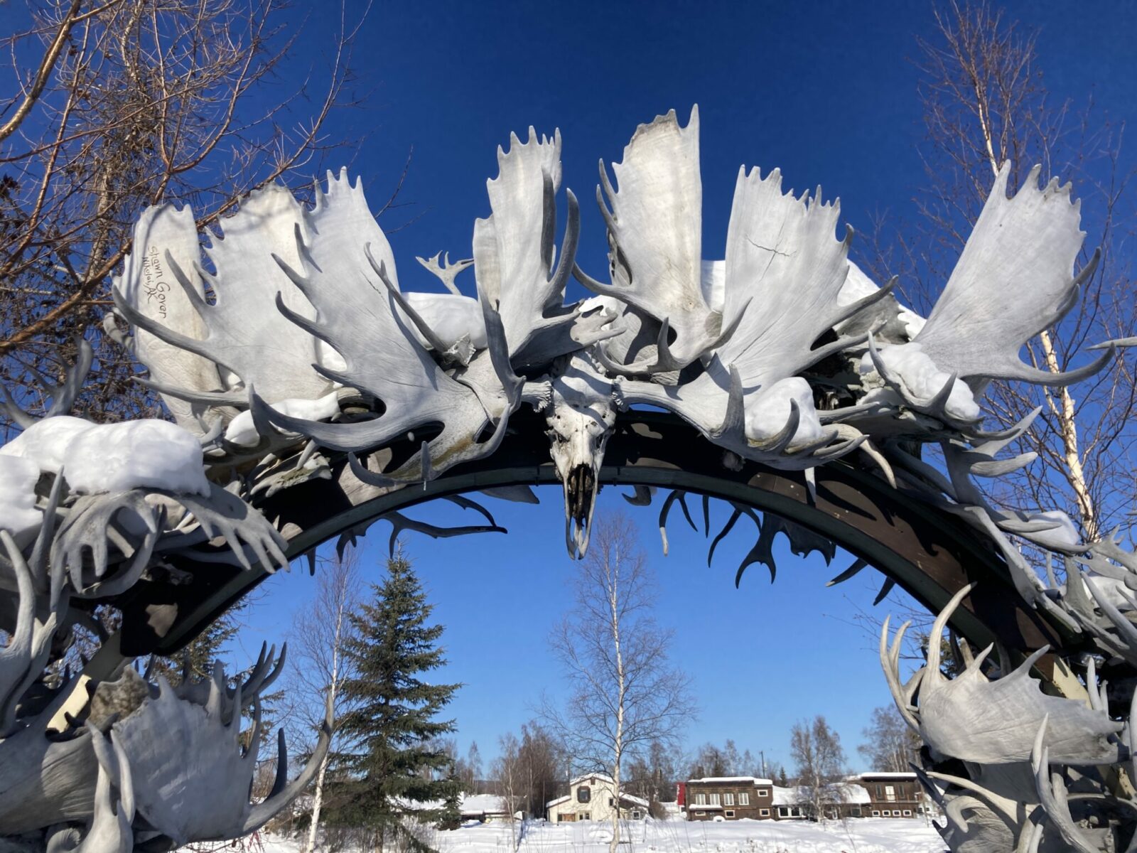 An arch over a walking path with many moose antlers.