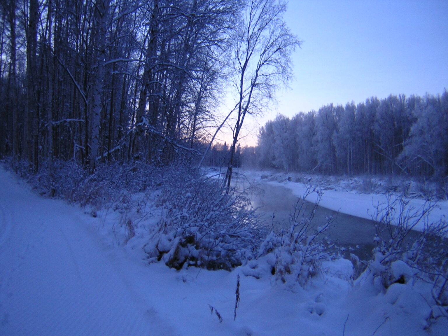 5 Best Spots for Cross Country Skiing in Fairbanks, Alaska Ordinary