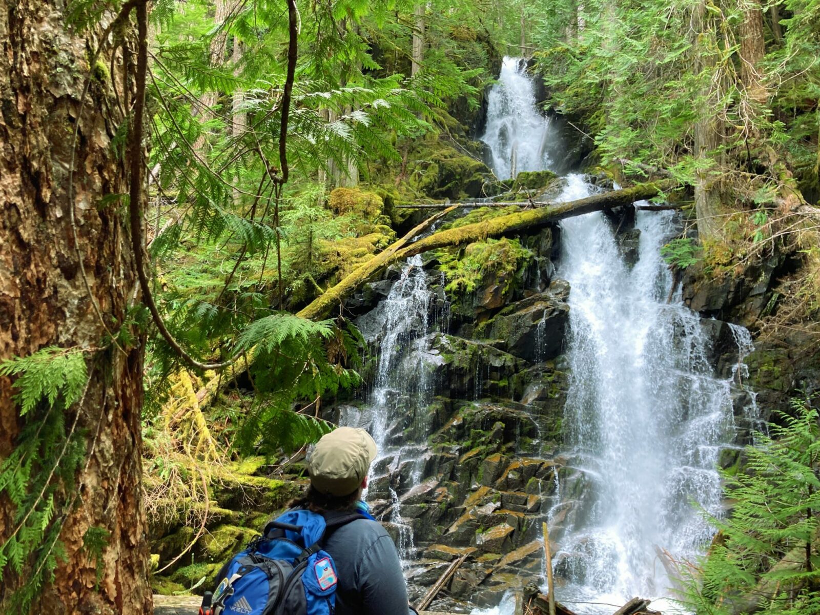 A hiker in a hat and with a backpack looking at a waterfall coming down over rocks through a green forest with ferns