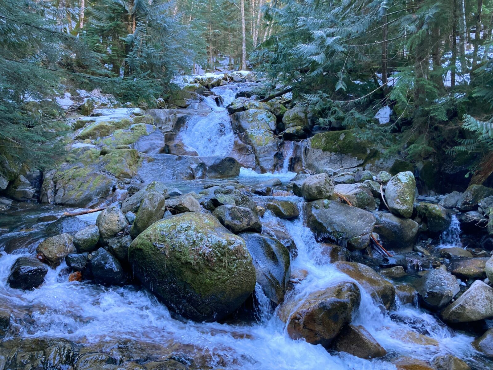 A creek rushing over rocks in the forest