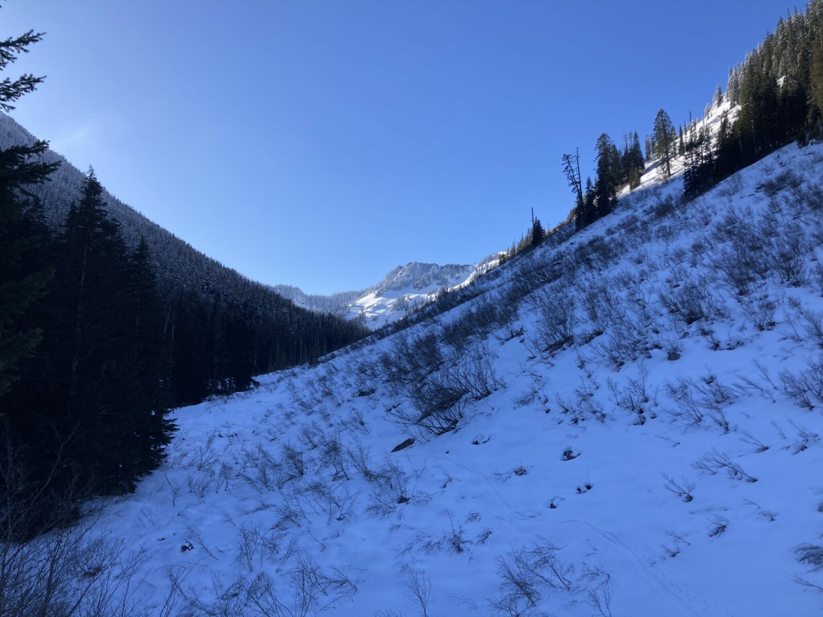 A snowy mountain landscape with the sun hitting fresh snow and open rock fields on the side of a mountain in the distance