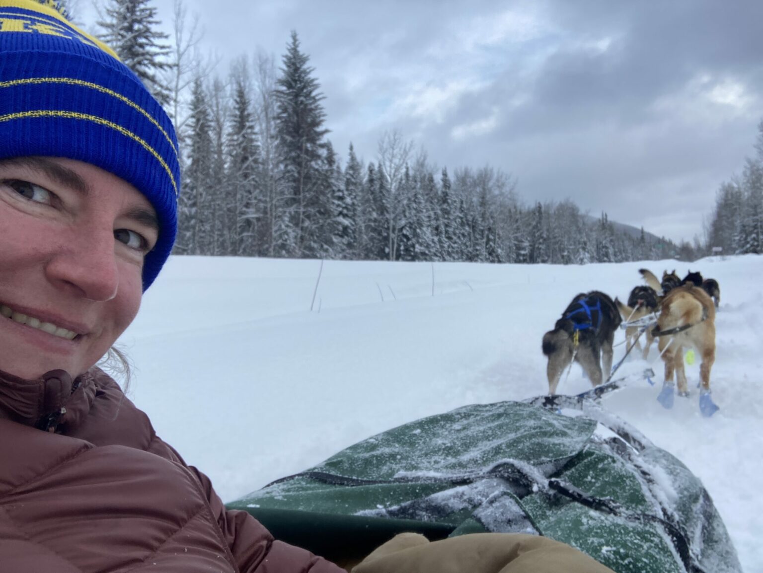 Sledder Ride How to go Dog Sledding in Alaska – Top Left Adventures