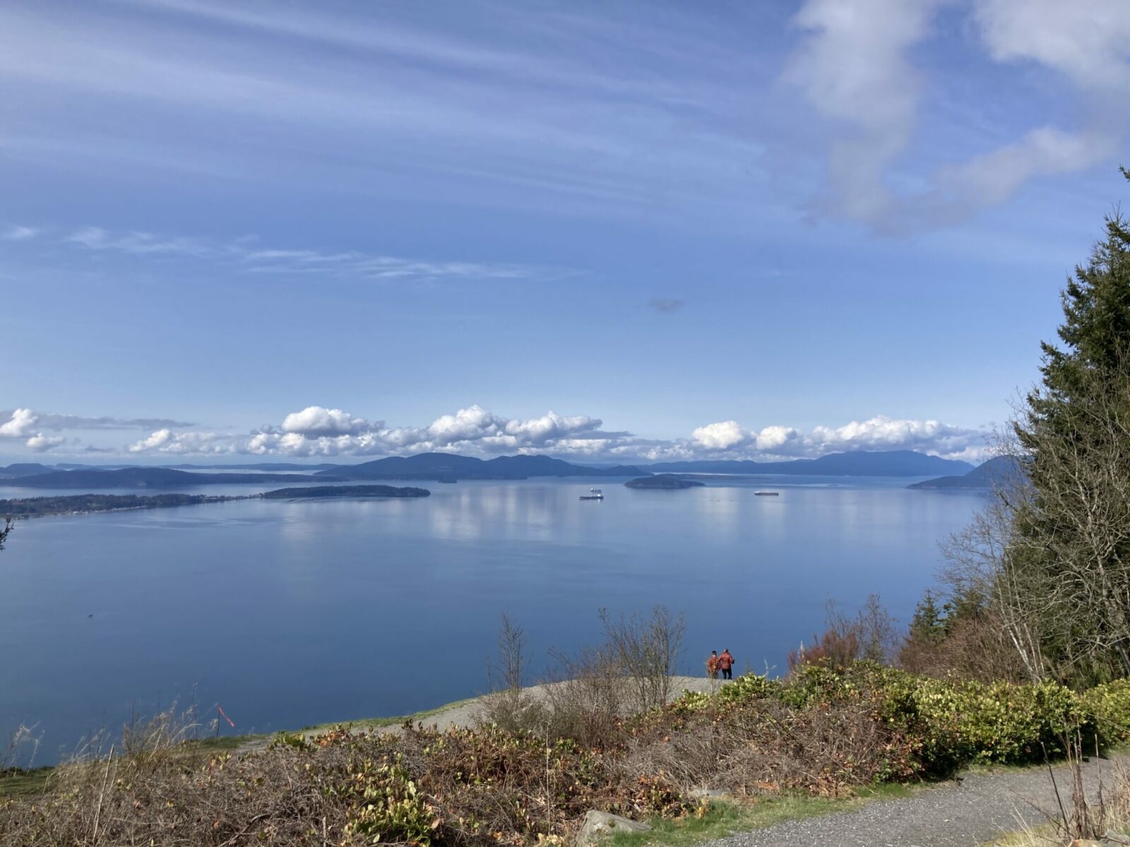 Two people in the foreground at a brushy overlook, looking out over the water with distant forested islands, clouds and a few ships