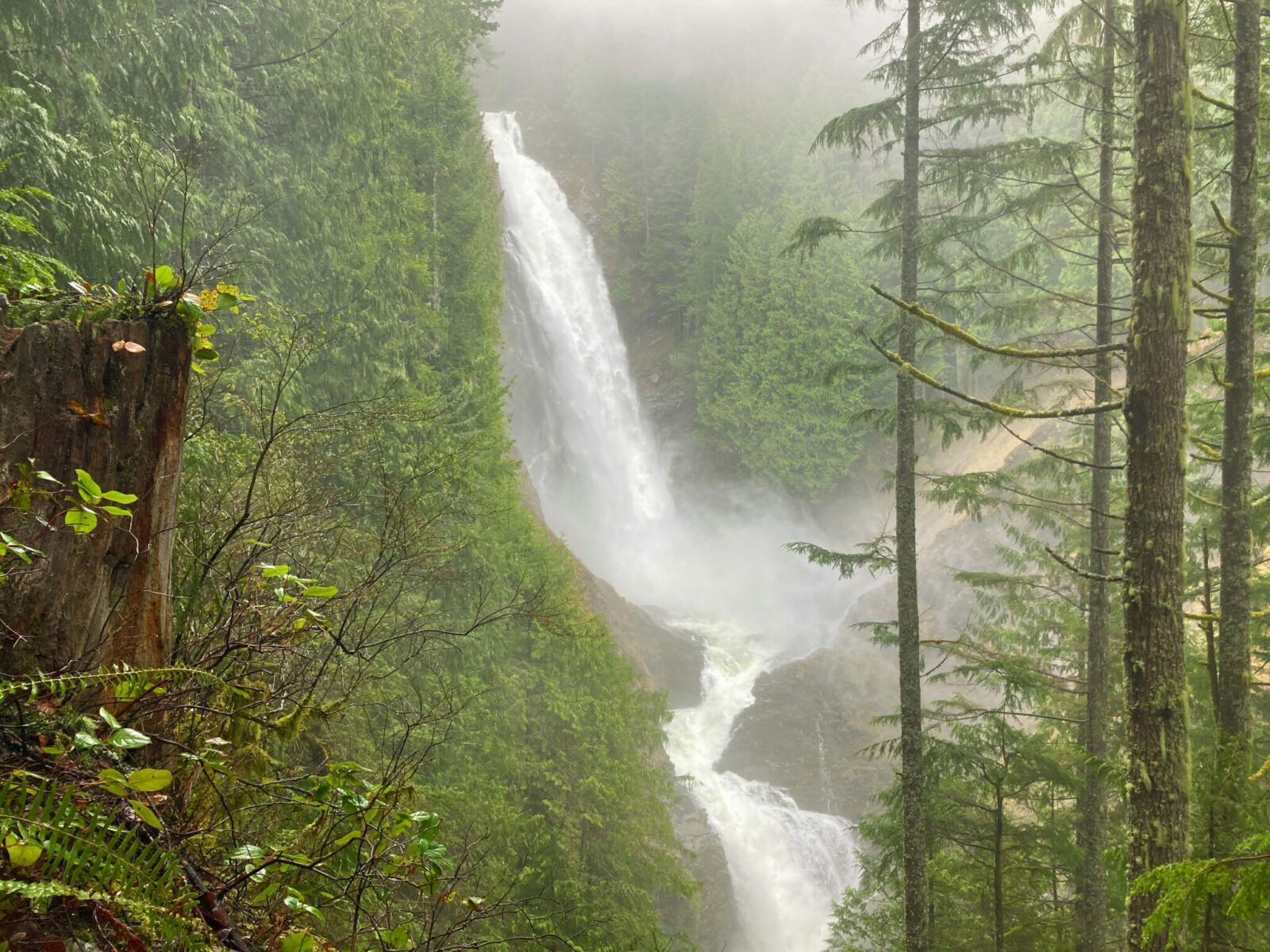 Middle Wallace Falls, a misty and impressive 200 foot waterfall, crashes down through a dense evergreen forest