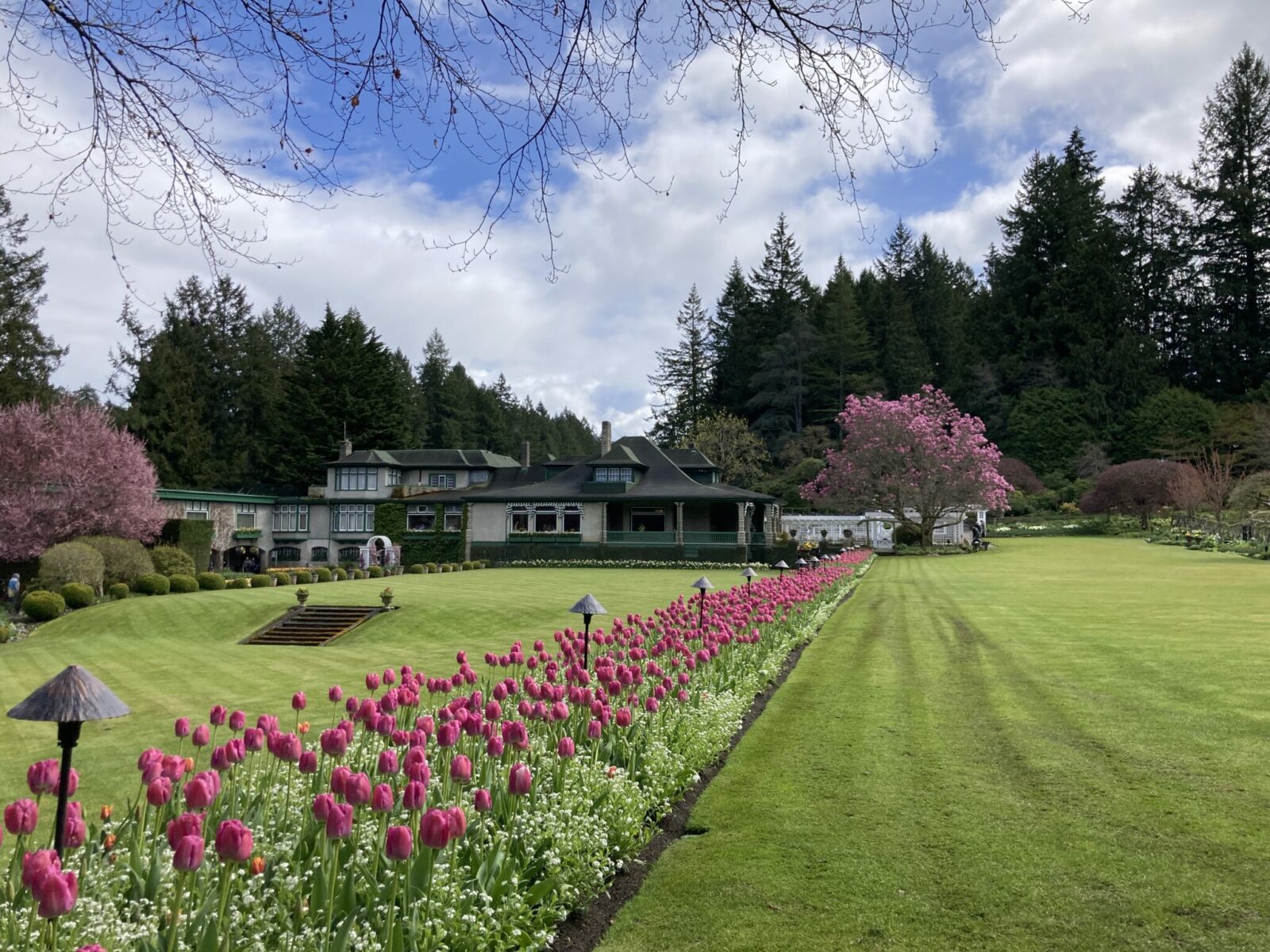 A historic home seen across a large lawn with tulips and surrounded by flowering and evergreen trees