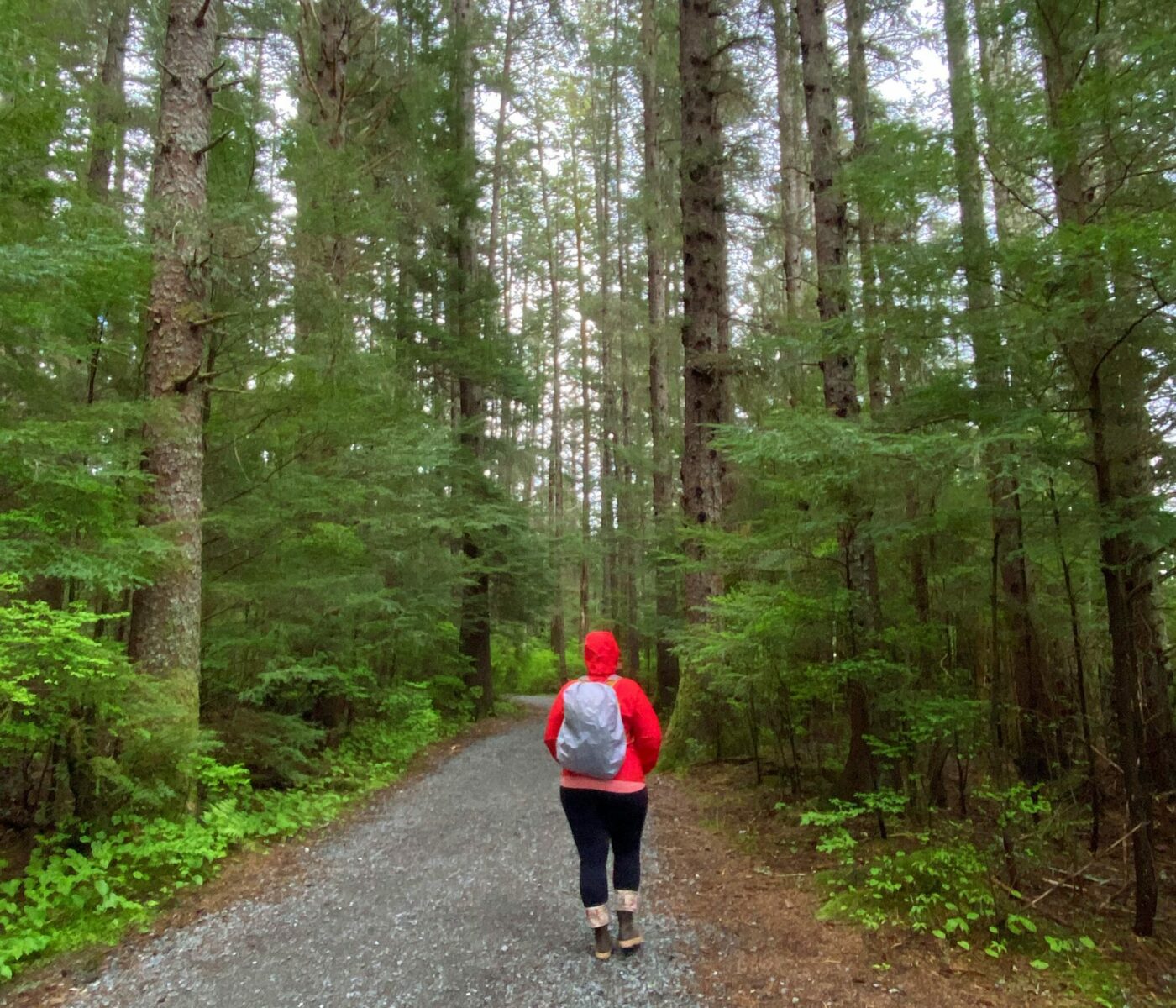 A person walking on a gravel path through the forest in the rain. The person is walking away from the camera and wearing a red rain jacket with a hood, a backpack with a gray rain cover, black leggings and rubber boots.