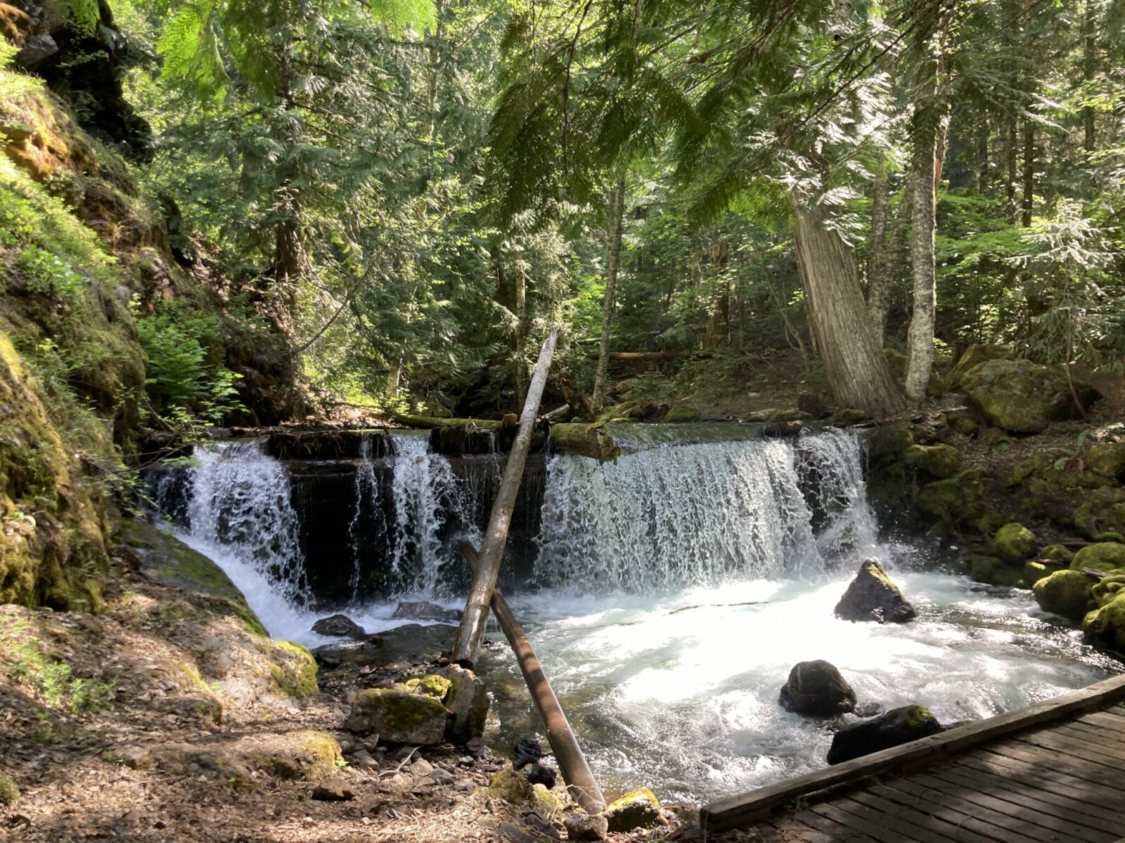 a small waterfall over a dam in the forest