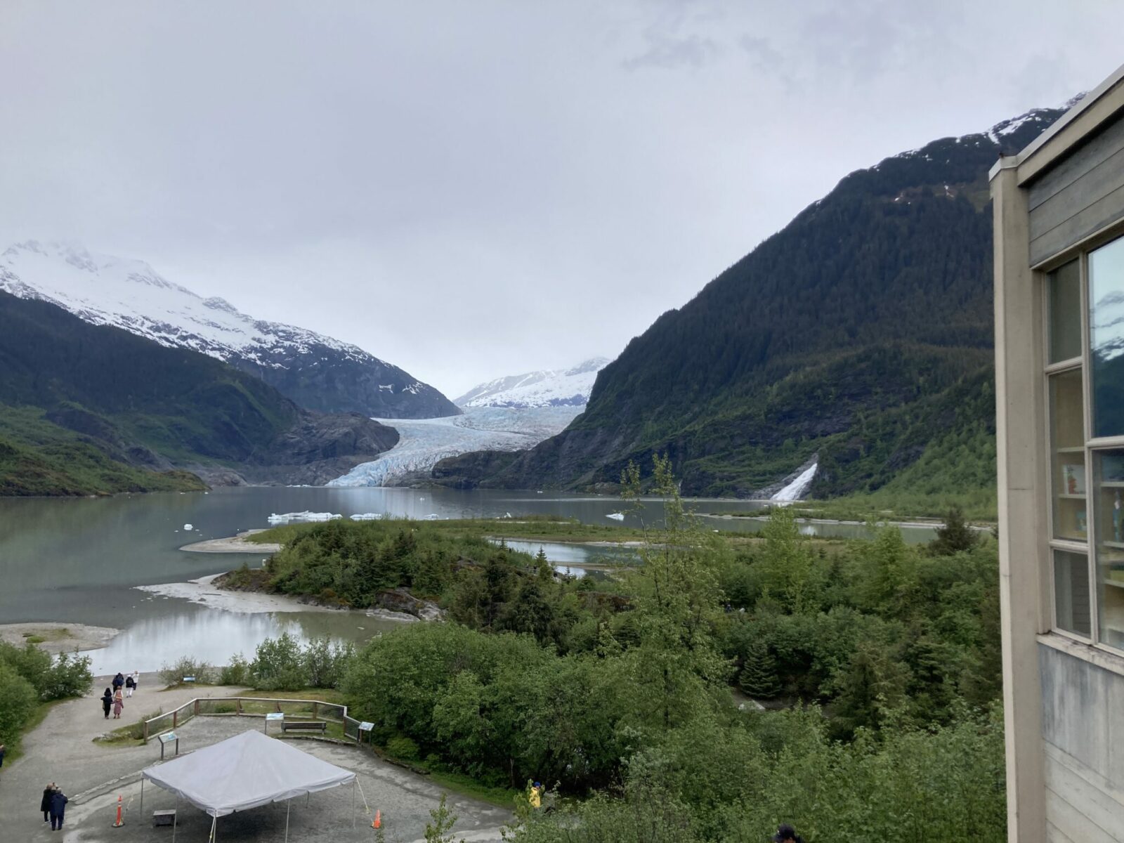 holland america mendenhall glacier tour