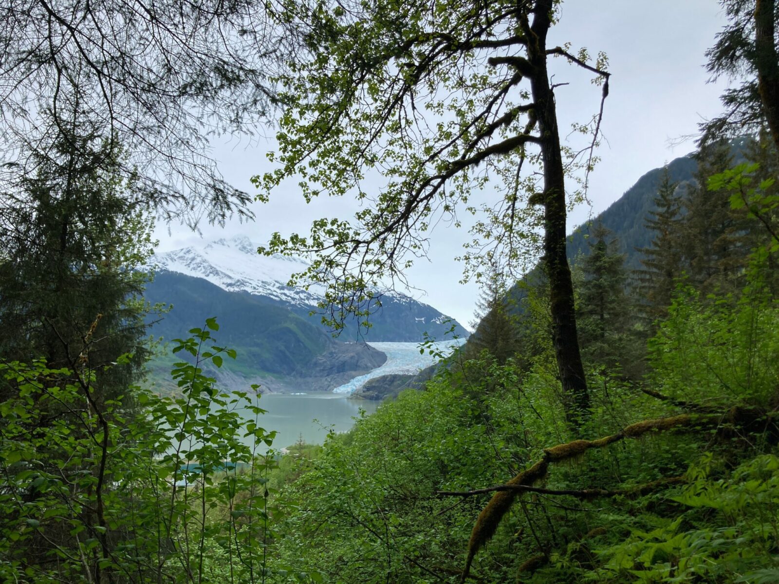 Mendenhall Glacier seen through the forest across a lake on a cloudy day