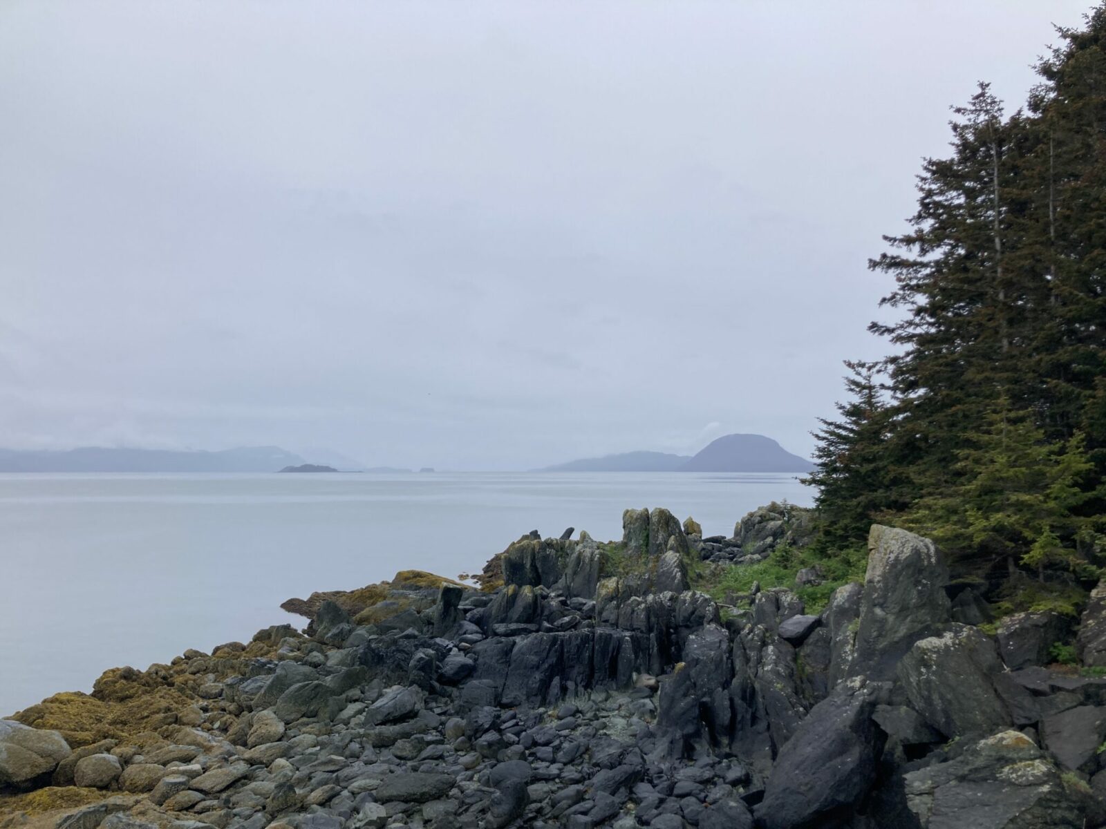 A rocky beach with some trees near the shore and distant forested islands.