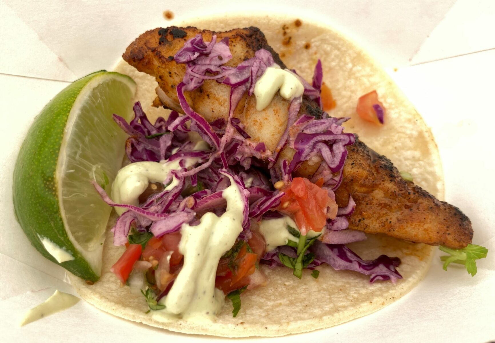 A blackened rockfish taco on a paper plate, with cabbage, tomato, cilantro and sauce with a lime