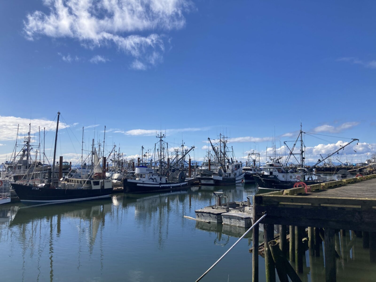 A fleet of many modern fishing boats in a harbor on a sunny day in Richmond BC.