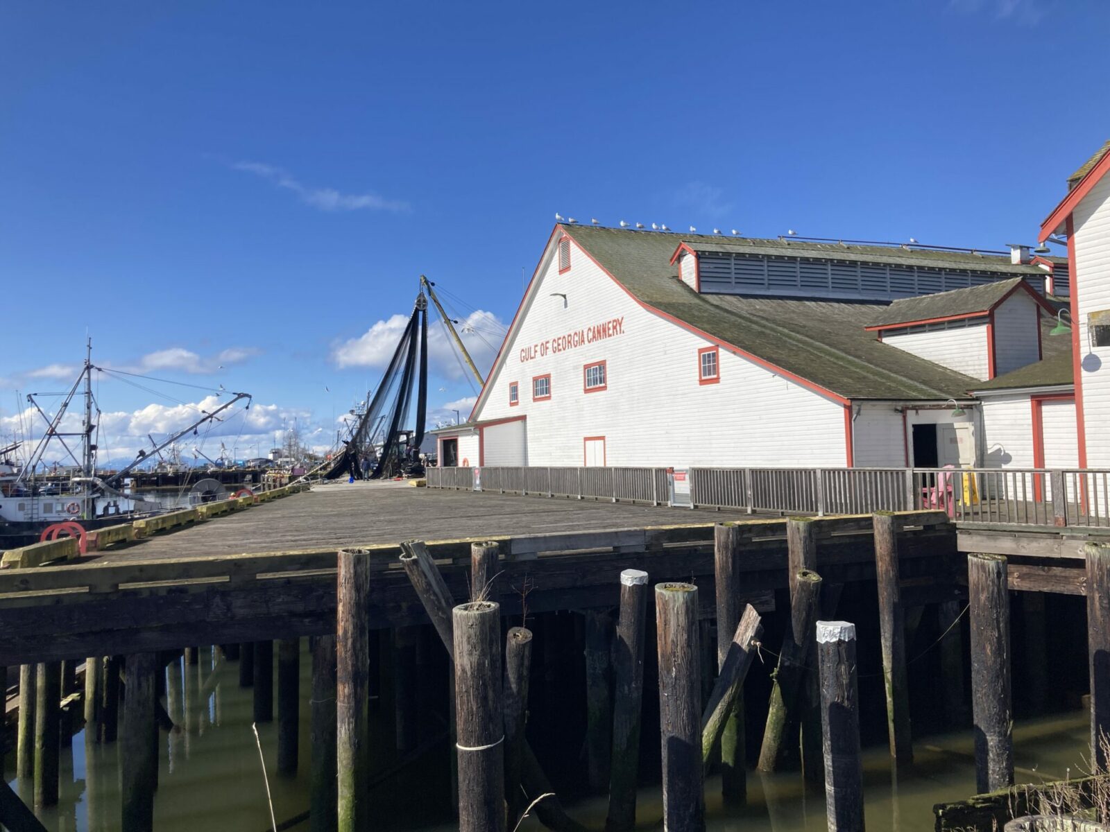 A white wooden building with red trim that says Gulf of Georgia Cannery near a wooden pier with fishing boats in the background at Historic Steveston in Richmond BC.