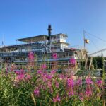 The Riverboat Discovery docked at. the Riverboat landing. There are many pink wildflowers in the foreground. It's a sunny day.