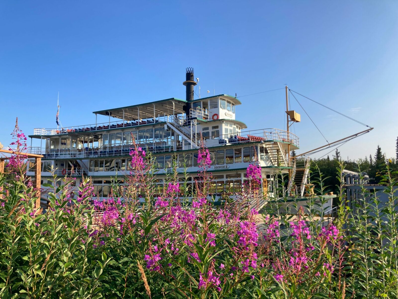 The Riverboat Discovery docked at. the Riverboat landing. There are many pink wildflowers in the foreground. It's a sunny day.