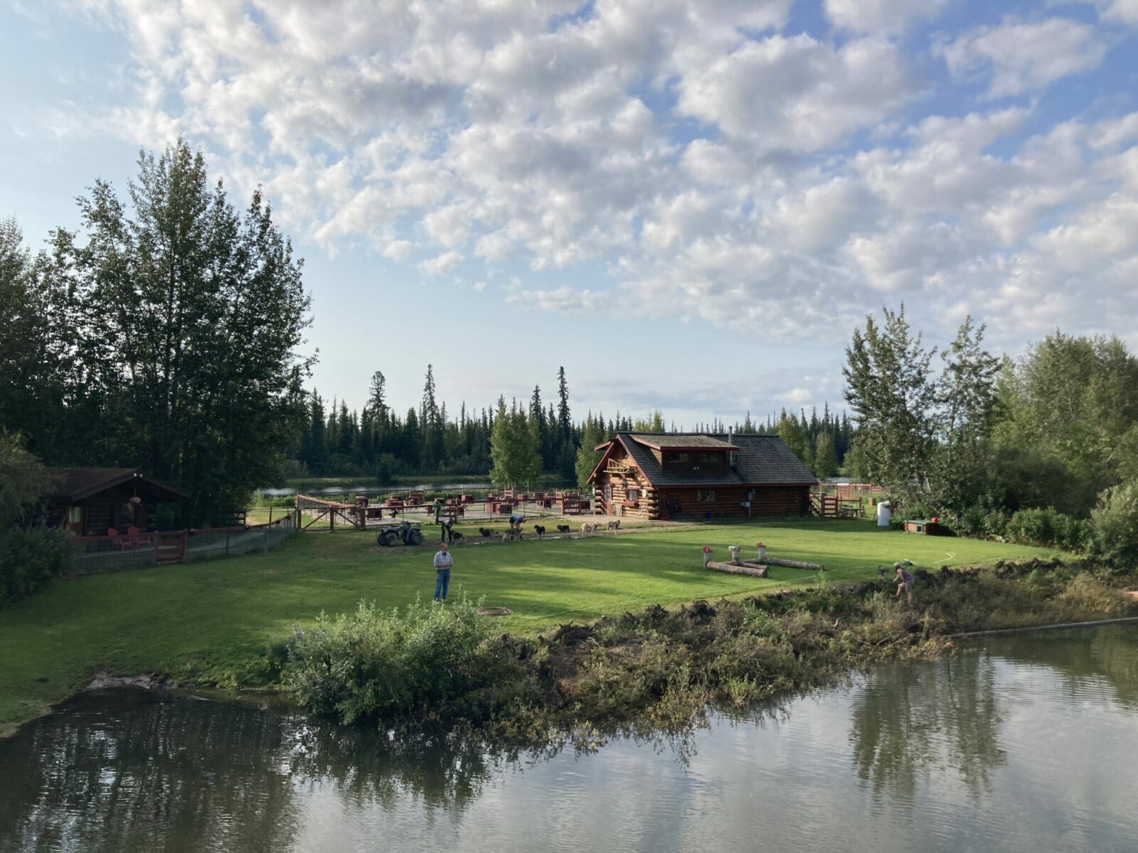 A green lawn on the bank of a river with a log cabin and many sled dogs. A man is standing near the dos giving a presentation