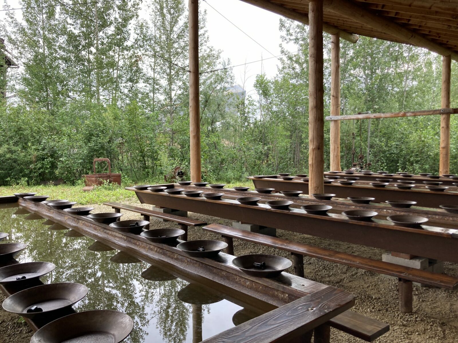 Several wooden troughs lined with gold pans in a covered area with trees in the background