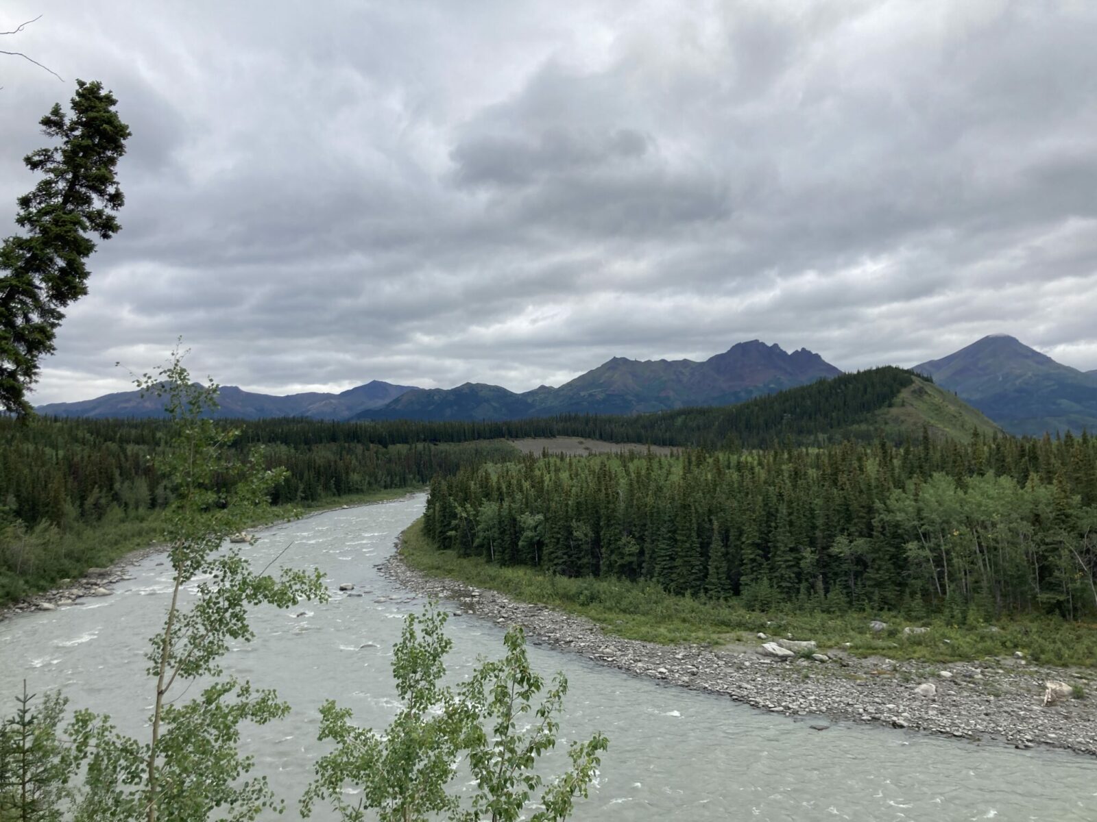 A glacial river flowing through the forest with distant mountains on an overcast day from the Oxbow Trail in Denali National park