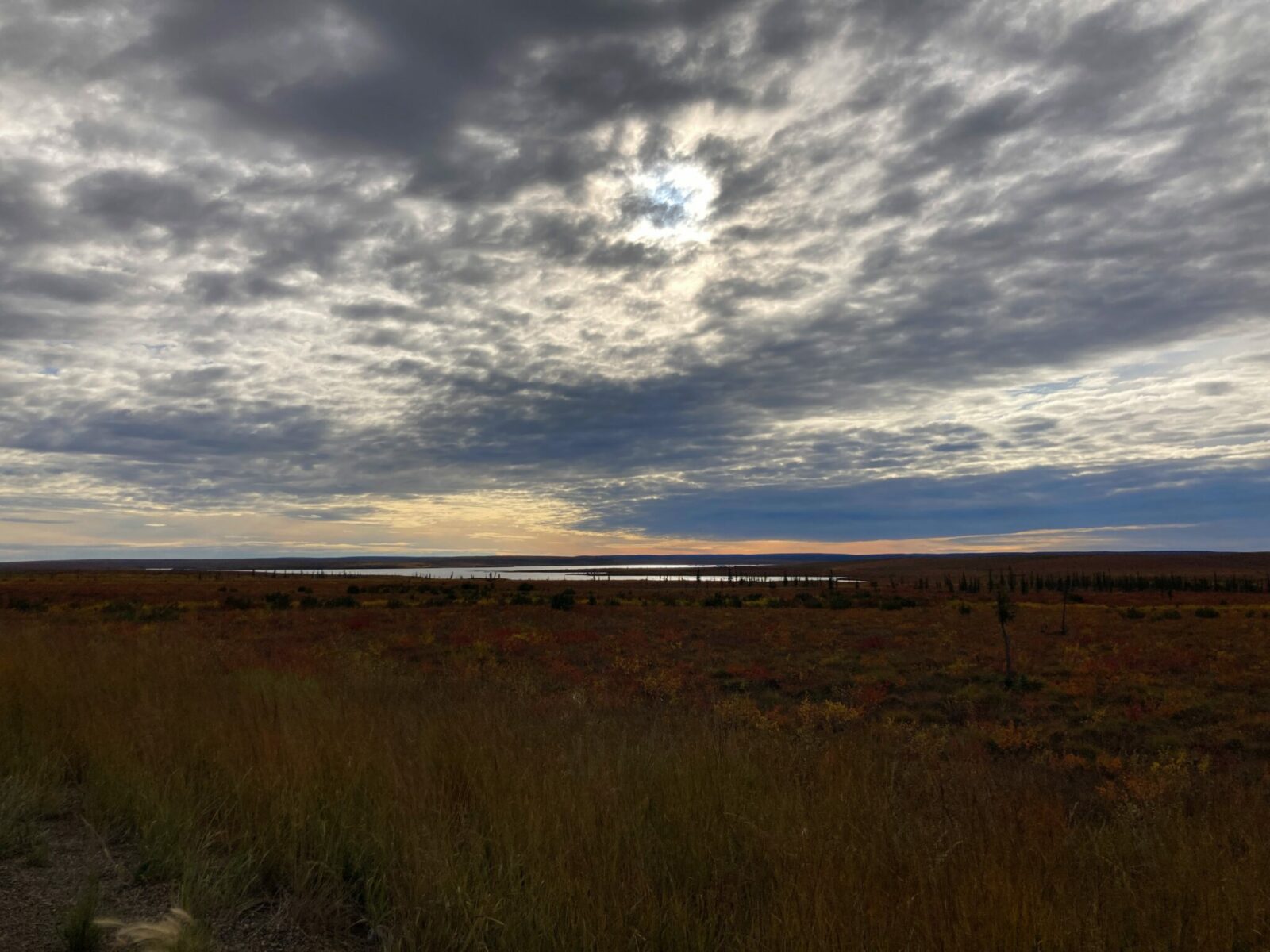 Flat arctic tundra with a small lake surrounded by red bushes. It's s partly cloudy day and it's late afternoon