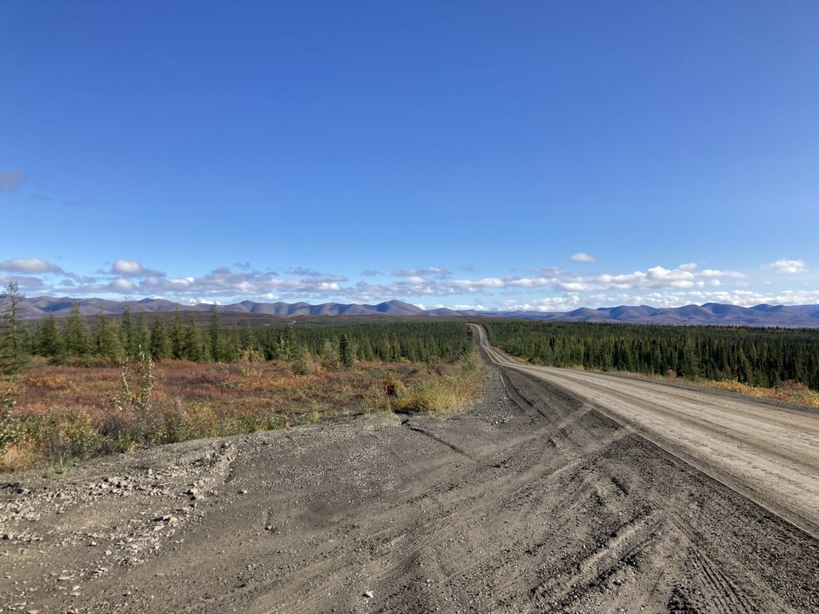 The Dempster Highway in Canada, a narrow stretch of gravel going between black spruce trees with distant mountains.