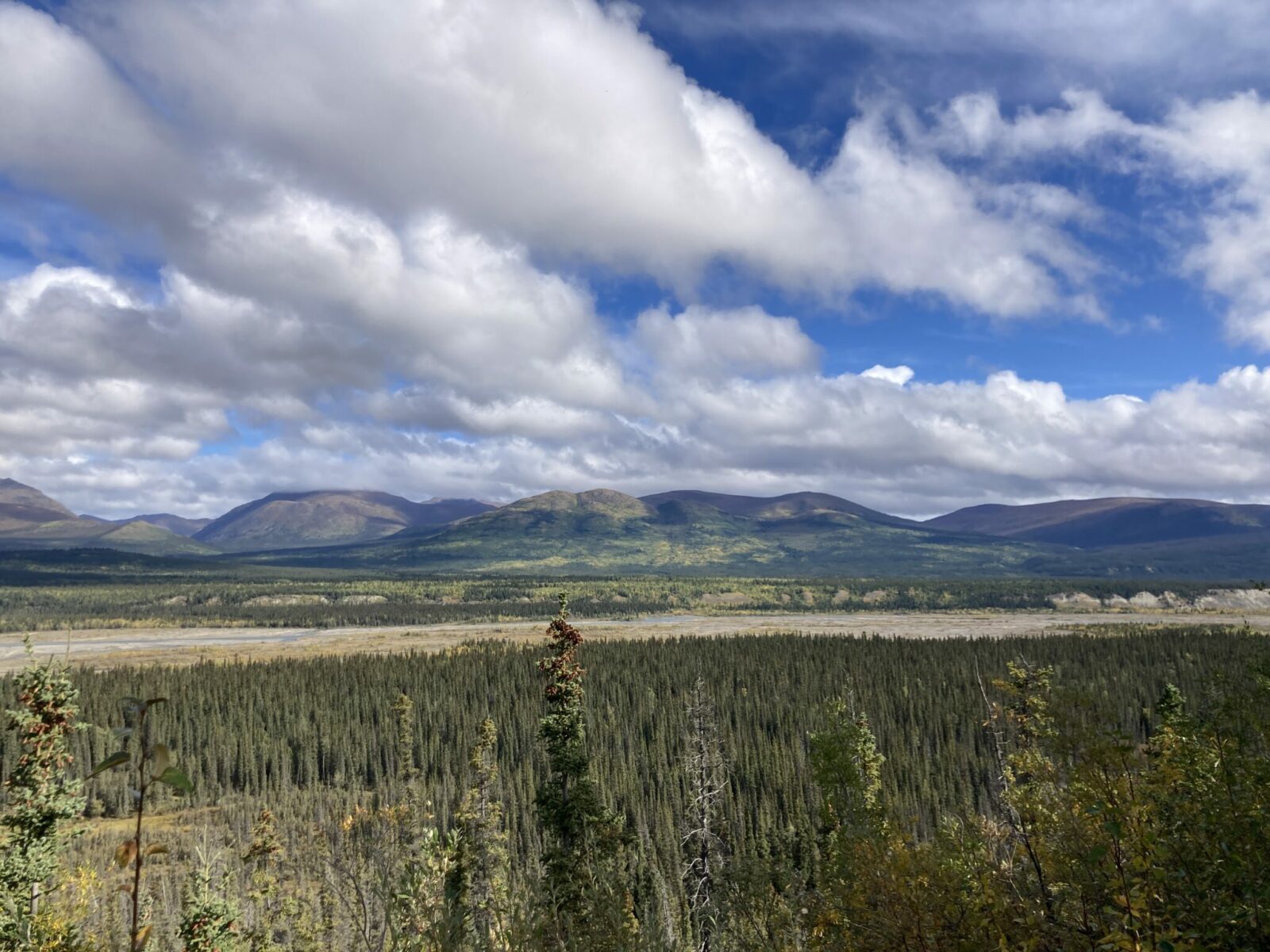 Forest and a distant river valley with mountains in the background