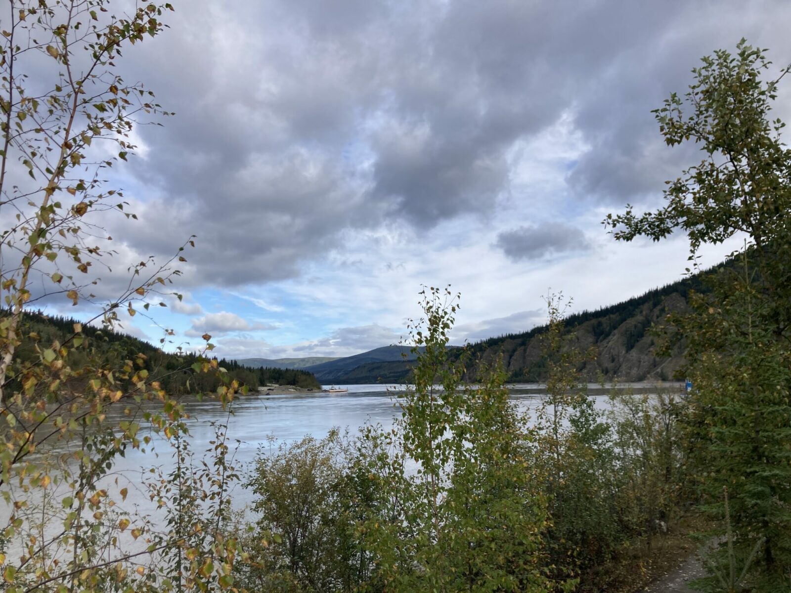 Low bushes in front of a river with hills and forest in the background