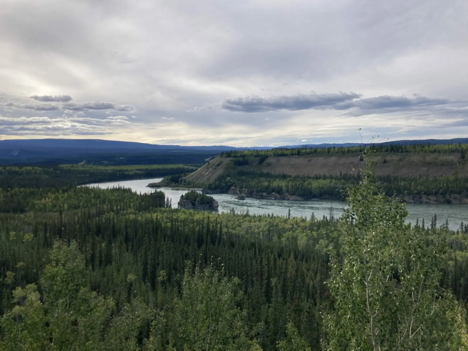 The Yukon River at Five Finger Rapids with lots of trees and the river going through the rapids