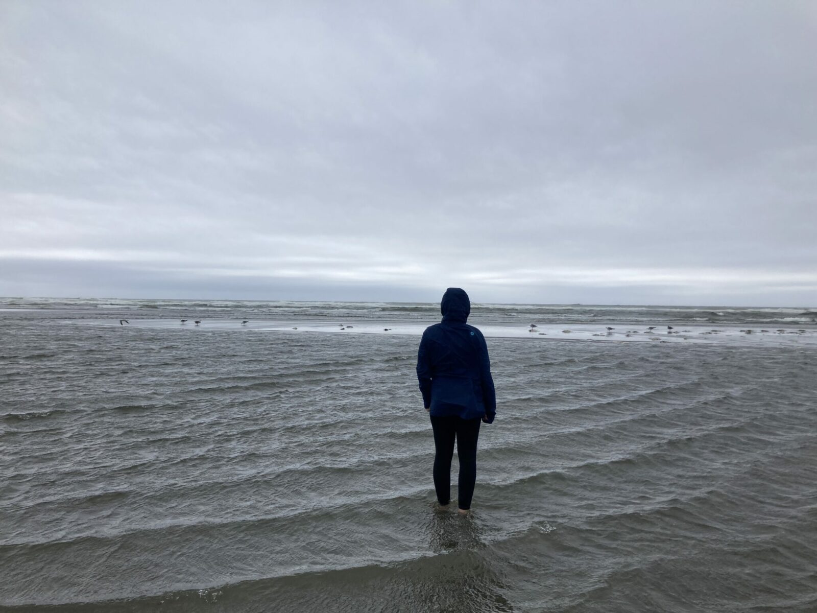 A person in leggings and a rain jacket stands in the shallow water at the edge of the Pacific Ocean near Westport on an overcast day