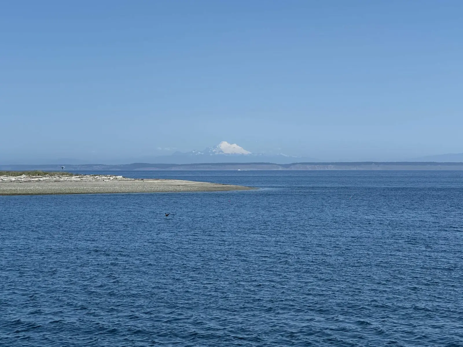 Mt Baker in the distance seen over the water with part of an island in the foreground