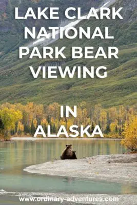A mountainside with yellow birch trees in fall and a river in the foreground with two brown bears sitting on the beach. Text reads Lake Clark National Park Bear Viewing in Alaska
