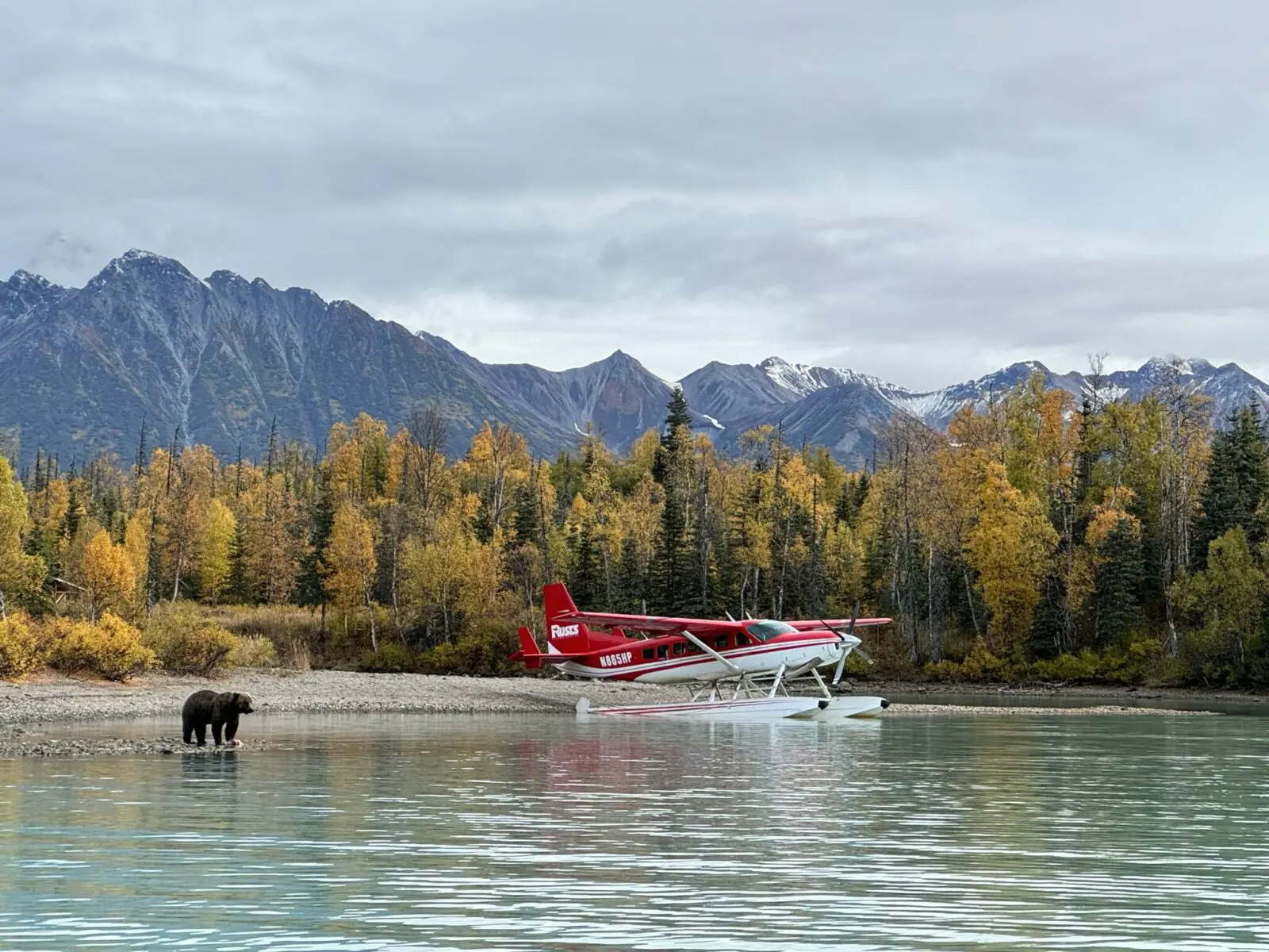 A brown bear on the beach next to a float plane with mountains and fall trees behind.